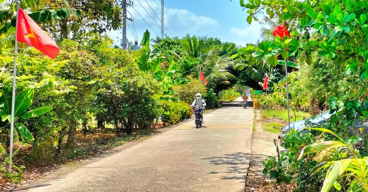 Cà Mau dồn lực 14.000 tỷ cho đường nông thôn bê tông