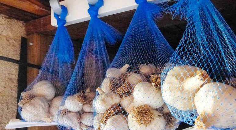 Tỏi và hành mua về mọc mầm liền: 6 nguyên tắc bảo quản đơn giản giúp giữ lâu cả năm