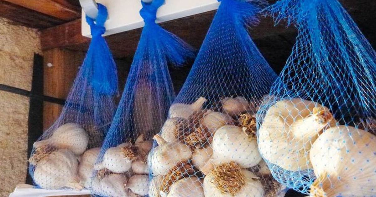Tỏi và hành mua về mọc mầm liền: 6 nguyên tắc bảo quản đơn giản giúp giữ lâu cả năm