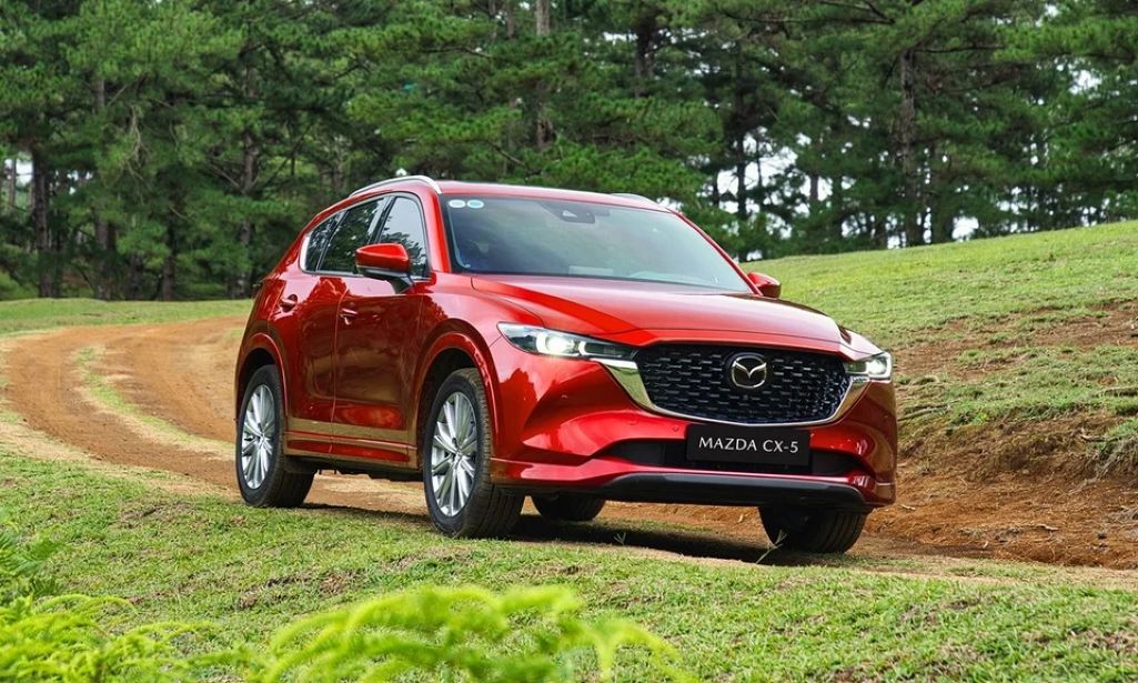 Miền Bắc ưa SUV, miền Nam chọn MPV: Chọn xe theo thị hiếu địa phương