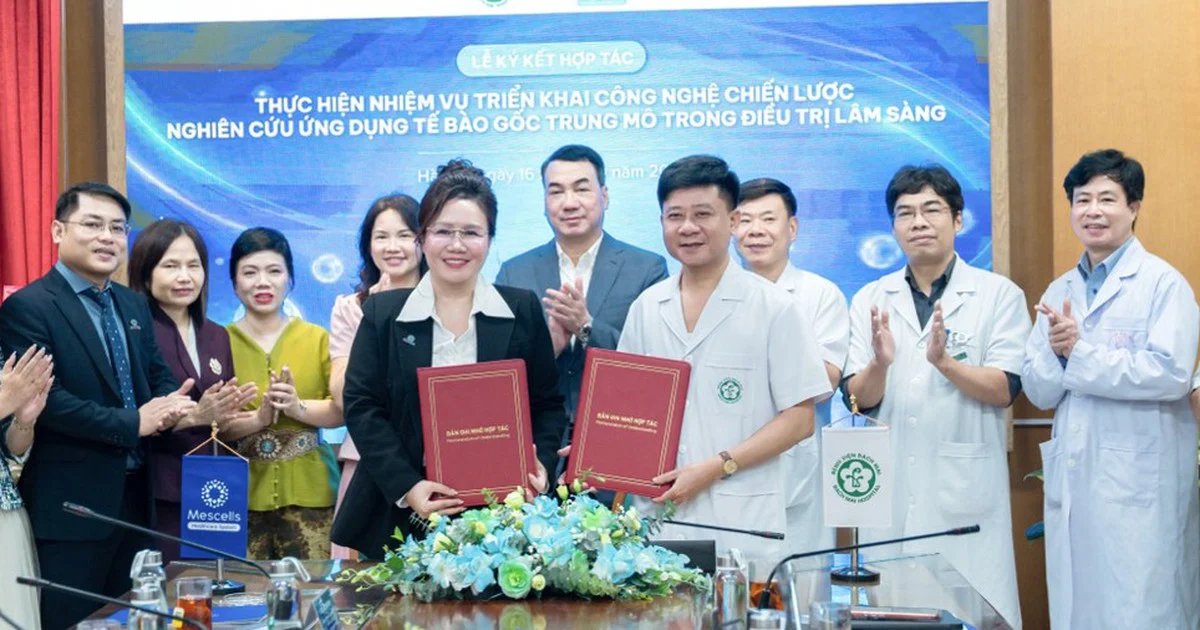 Bệnh viện Bạch Mai và Mescells đẩy tế bào gốc trung mô vào y học tái tạo