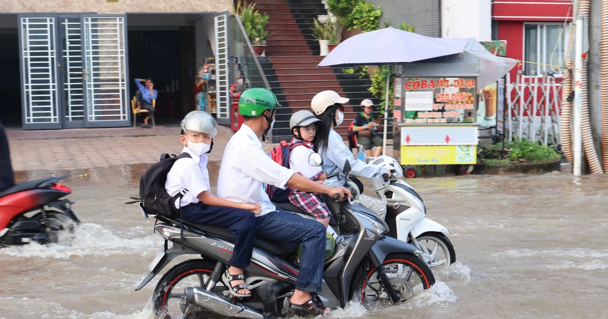 Khi triều cường tràn vào lớp học: Trường học đang ứng phó ra sao?