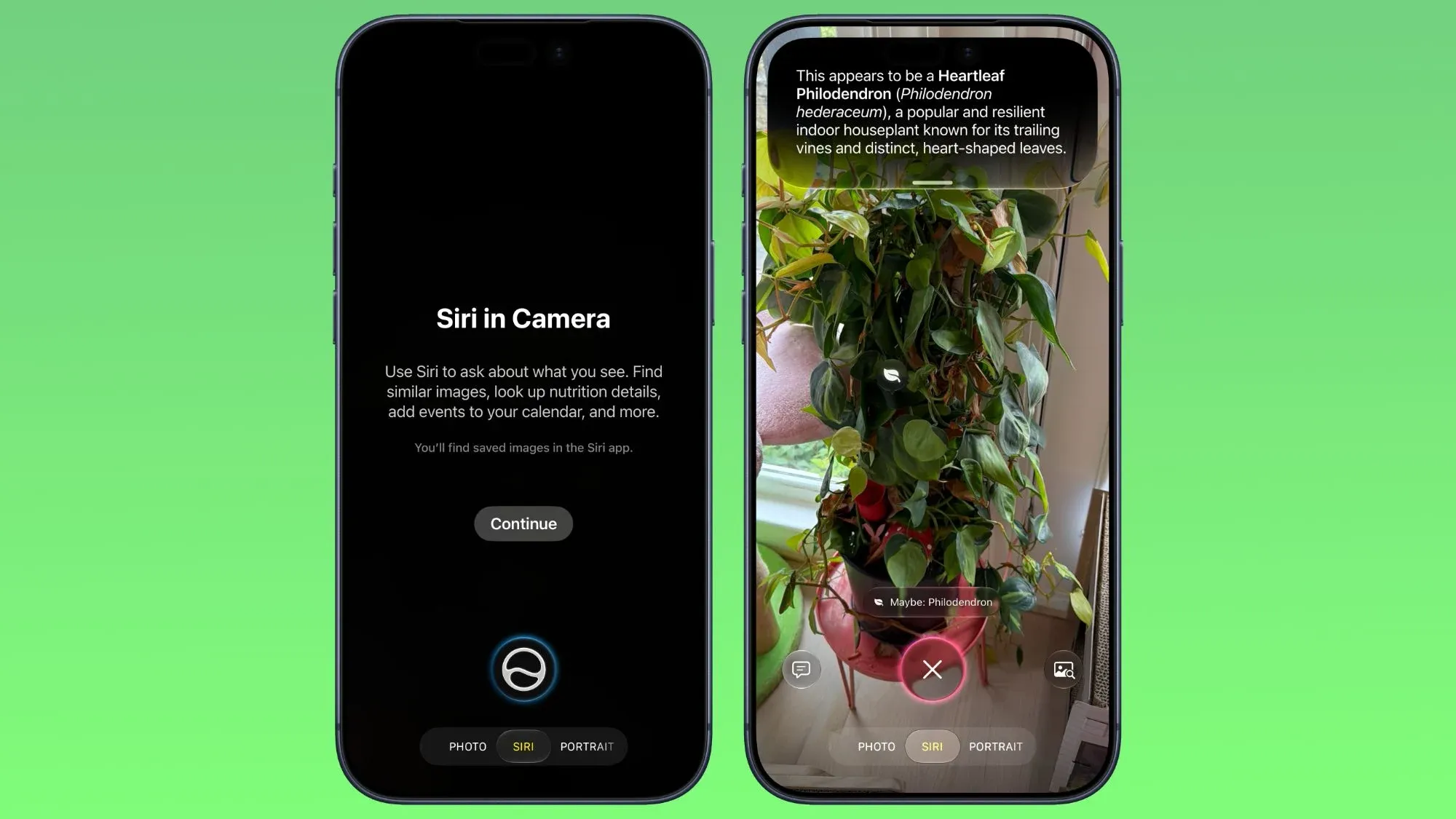 Visual Intelligence trong ứng dụng Camera iPhone: bước ngoặt cho nhiếp ảnh di động