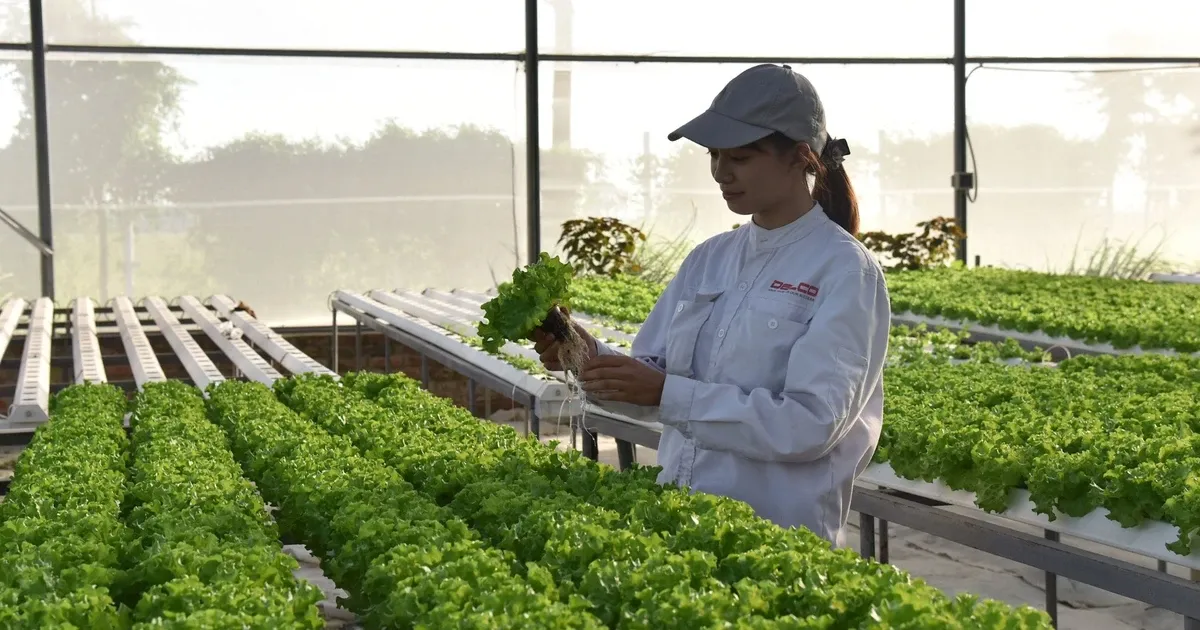 Chuyển đổi xanh thực chất: hiệu quả tài nguyên là lợi thế cạnh tranh