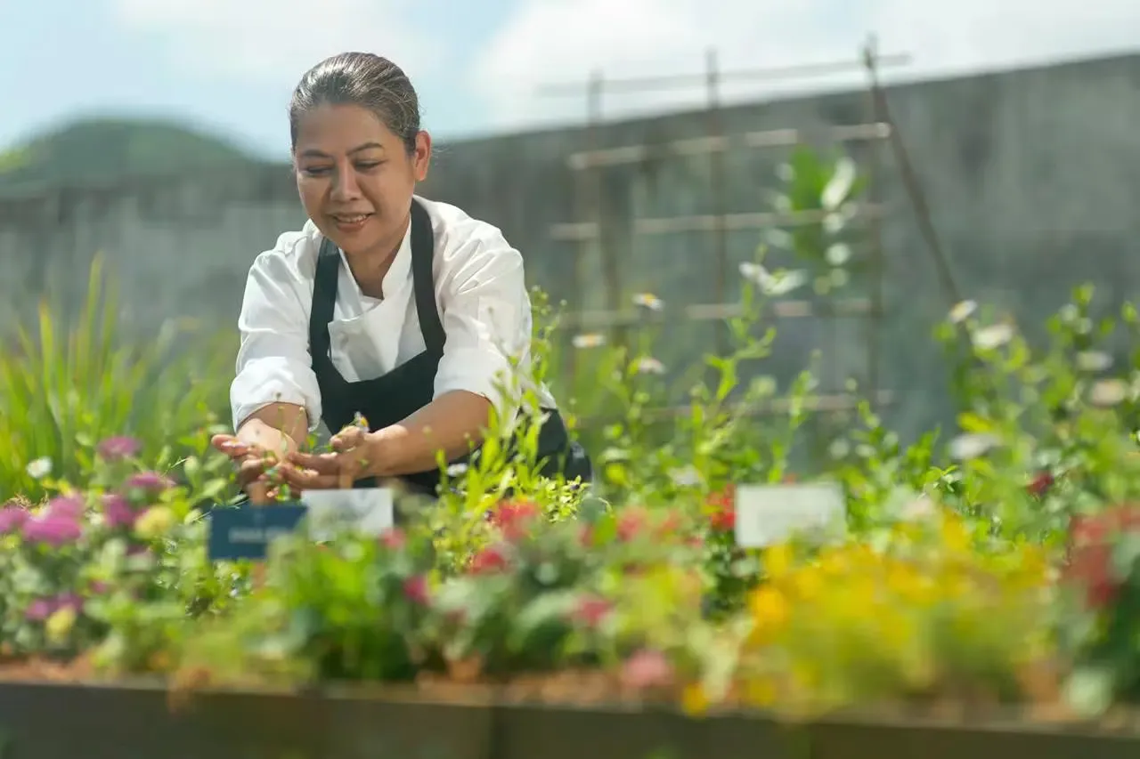 Farm-to-table: Khi nguyên liệu địa phương trở thành vũ khí cạnh tranh
