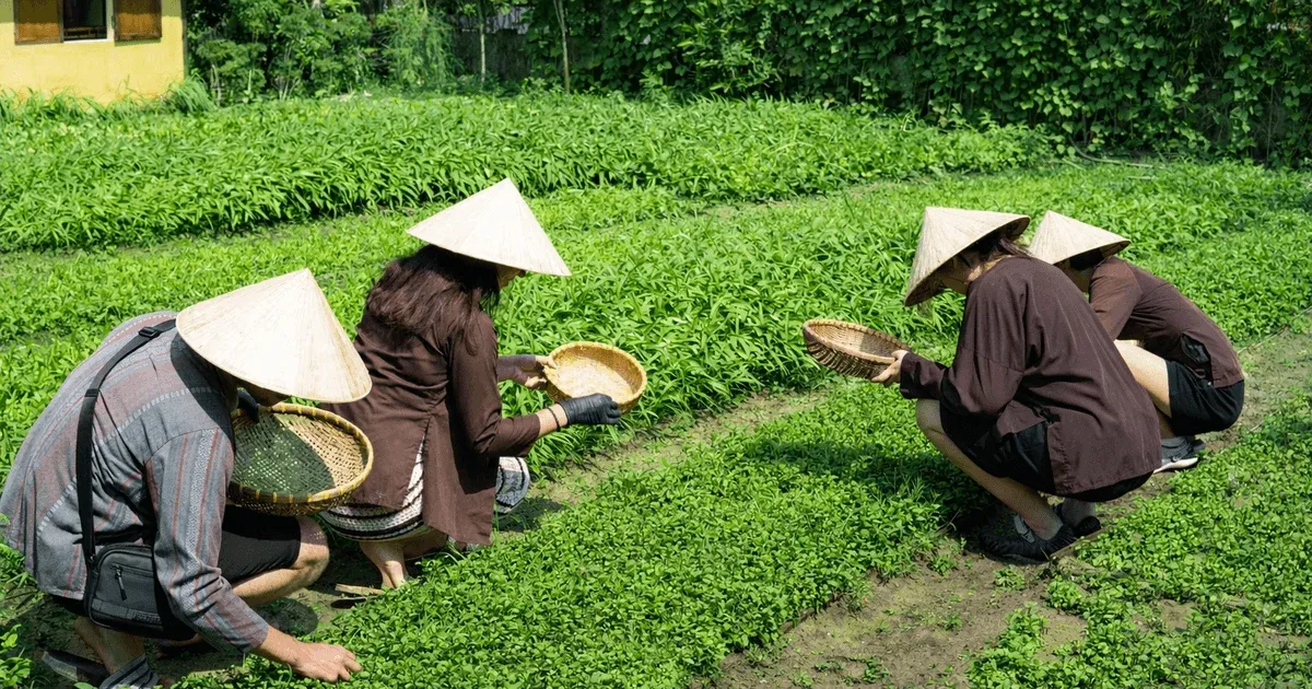 Các điểm đến toàn cầu đang “định danh” bằng mùi hương