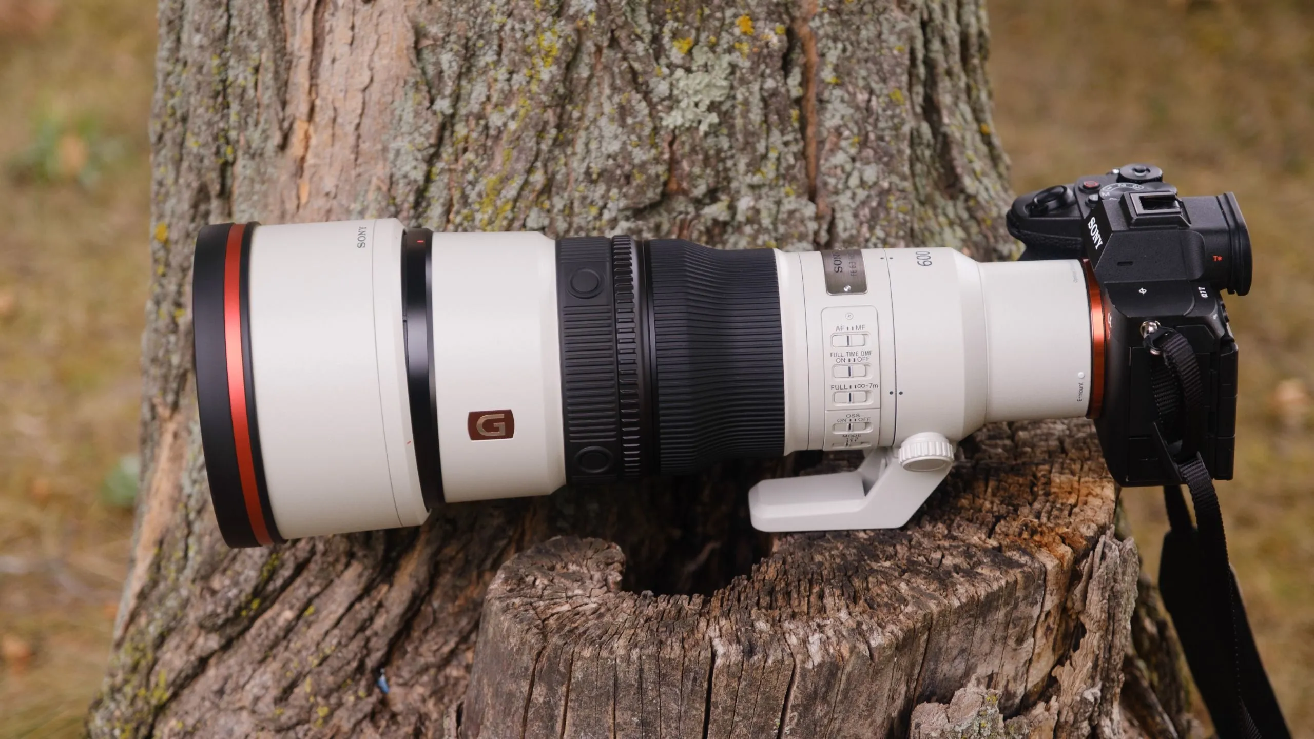Sony 400mm f/4.5 & 600mm f/5.6 GM OSS cho ảnh động vật hoang dã