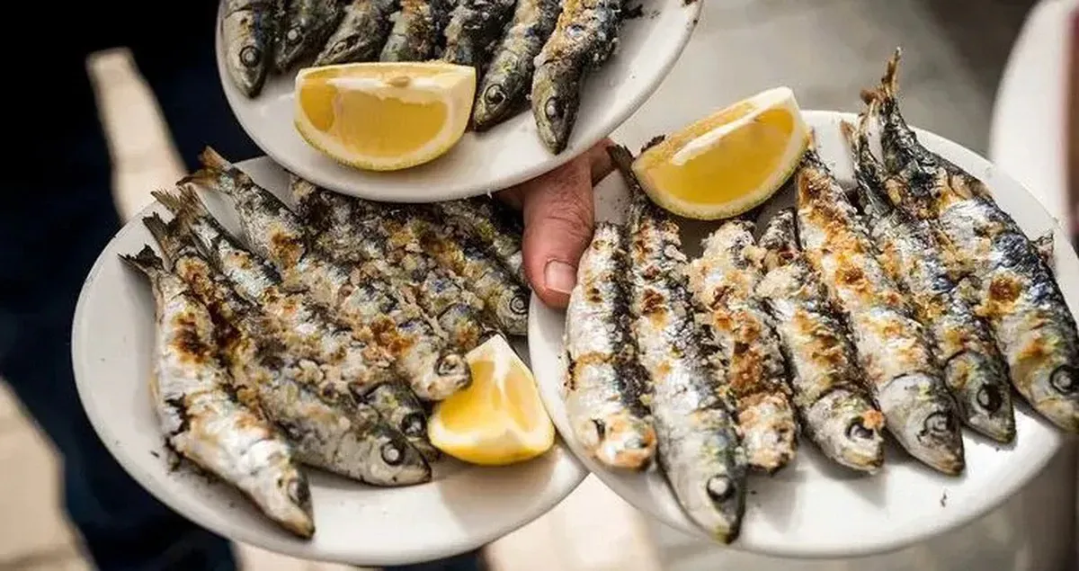 Cá mòi giá 70.000 đ/kg: lựa chọn thay thế cá hồi giàu omega-3
