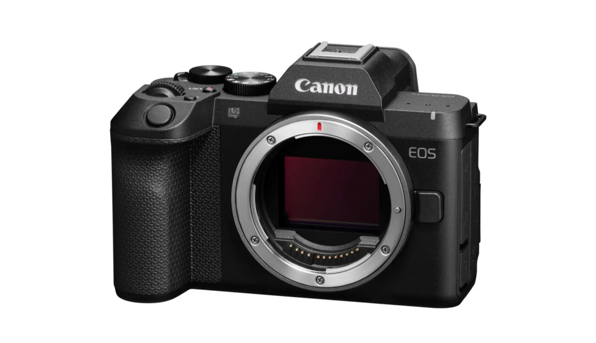Canon EOS R8 Mark II: IBIS Mengubah Kamera Penuh Bingkai Kompak