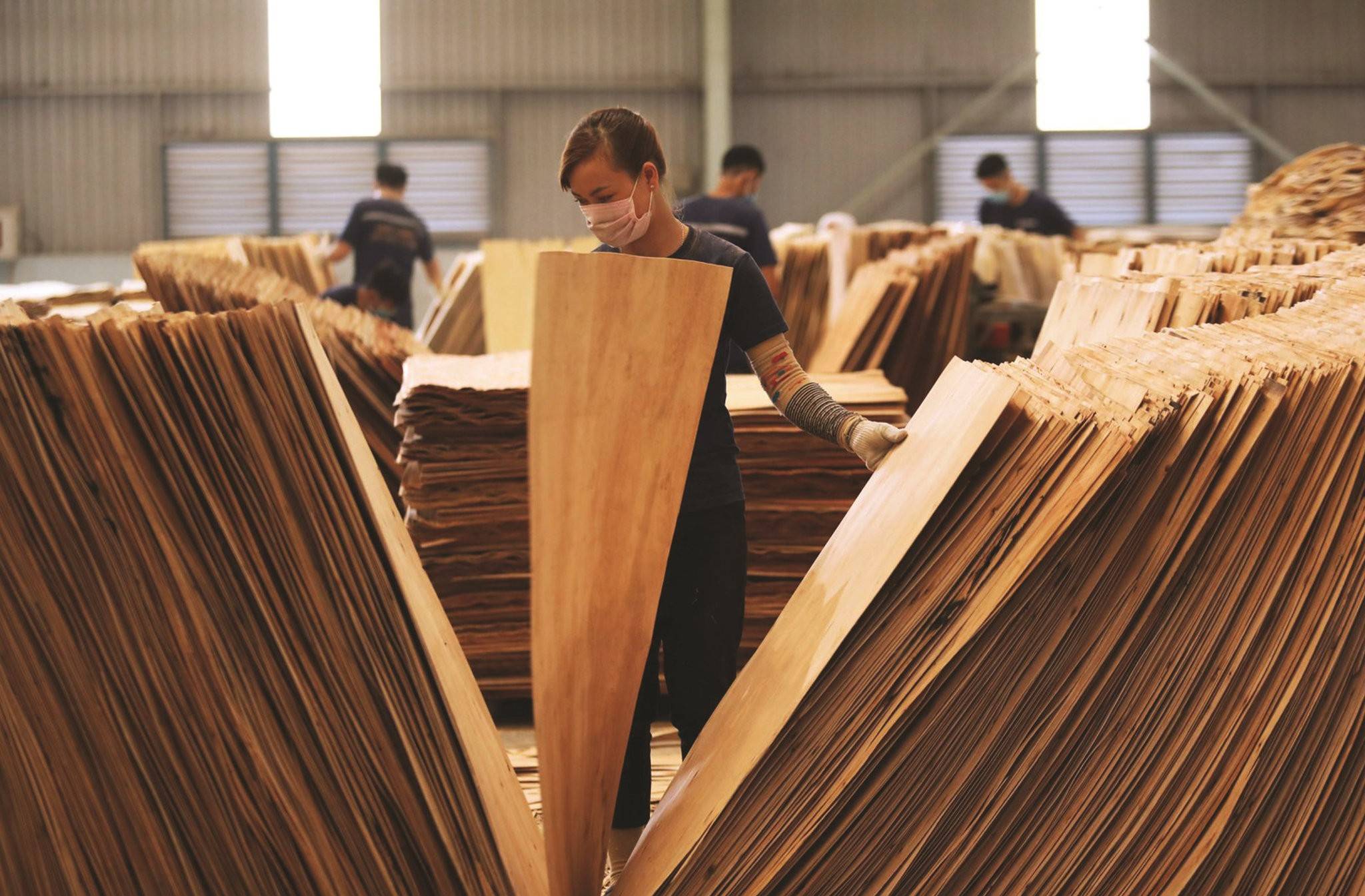 Ngành gỗ Việt: từ gia công sang cuộc chơi thương hiệu