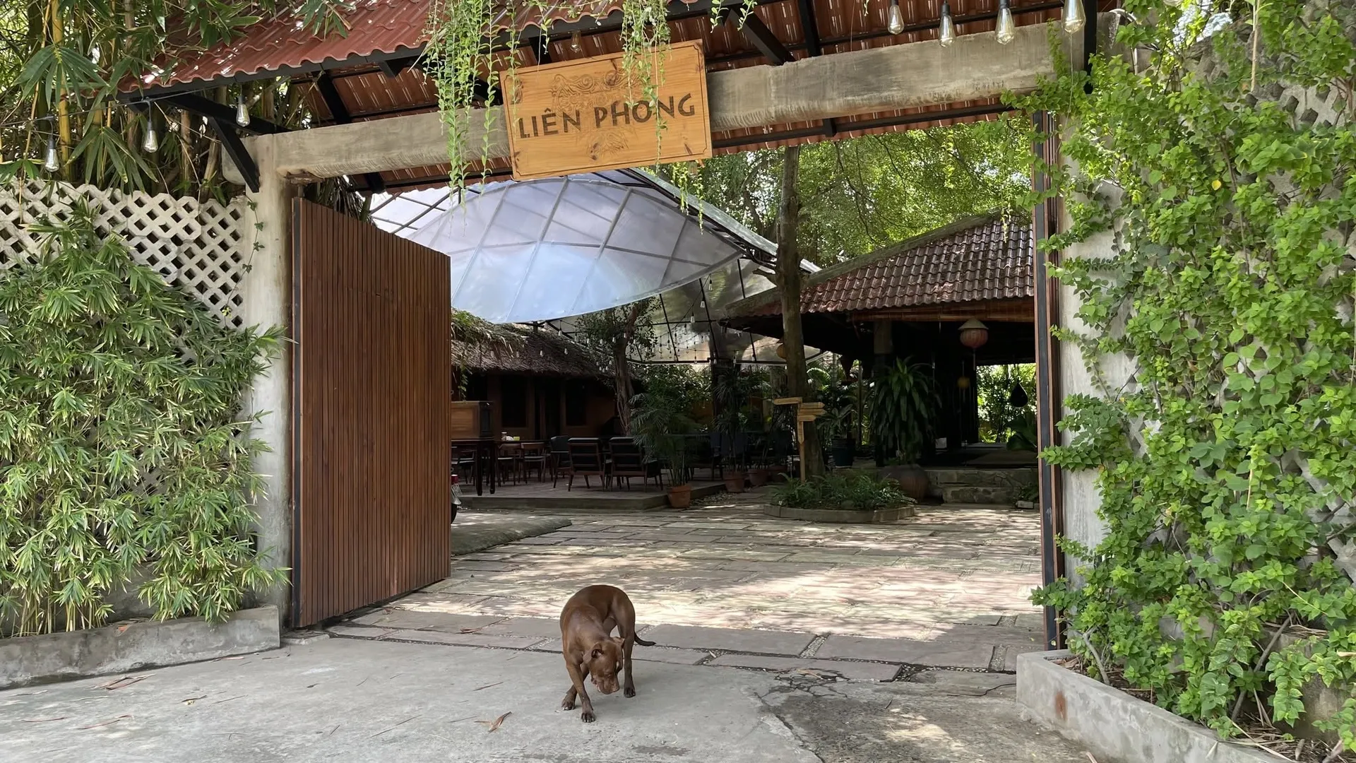 Khám phá nhà vườn 1.800m² xanh mát của Johnny Trí Nguyễn