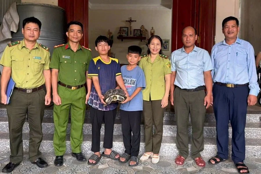 Làn sóng giao nộp rùa quý hiếm và sự trỗi dậy của mạng lưới cứu hộ