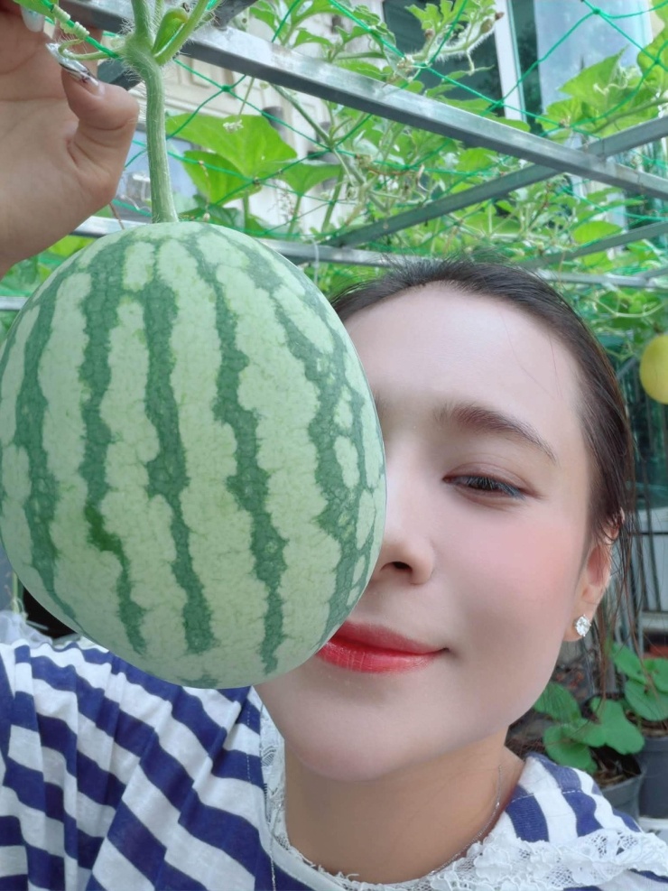 Trồng dưa lưới, bí đỏ trên ban công: vườn nhỏ nhưng thu lớn