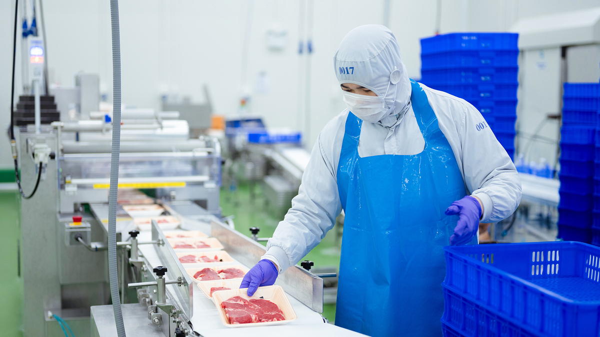 Thịt bò ủ mát kiểu Nhật từ Phú Thọ: từ farm to table đến bếp Việt