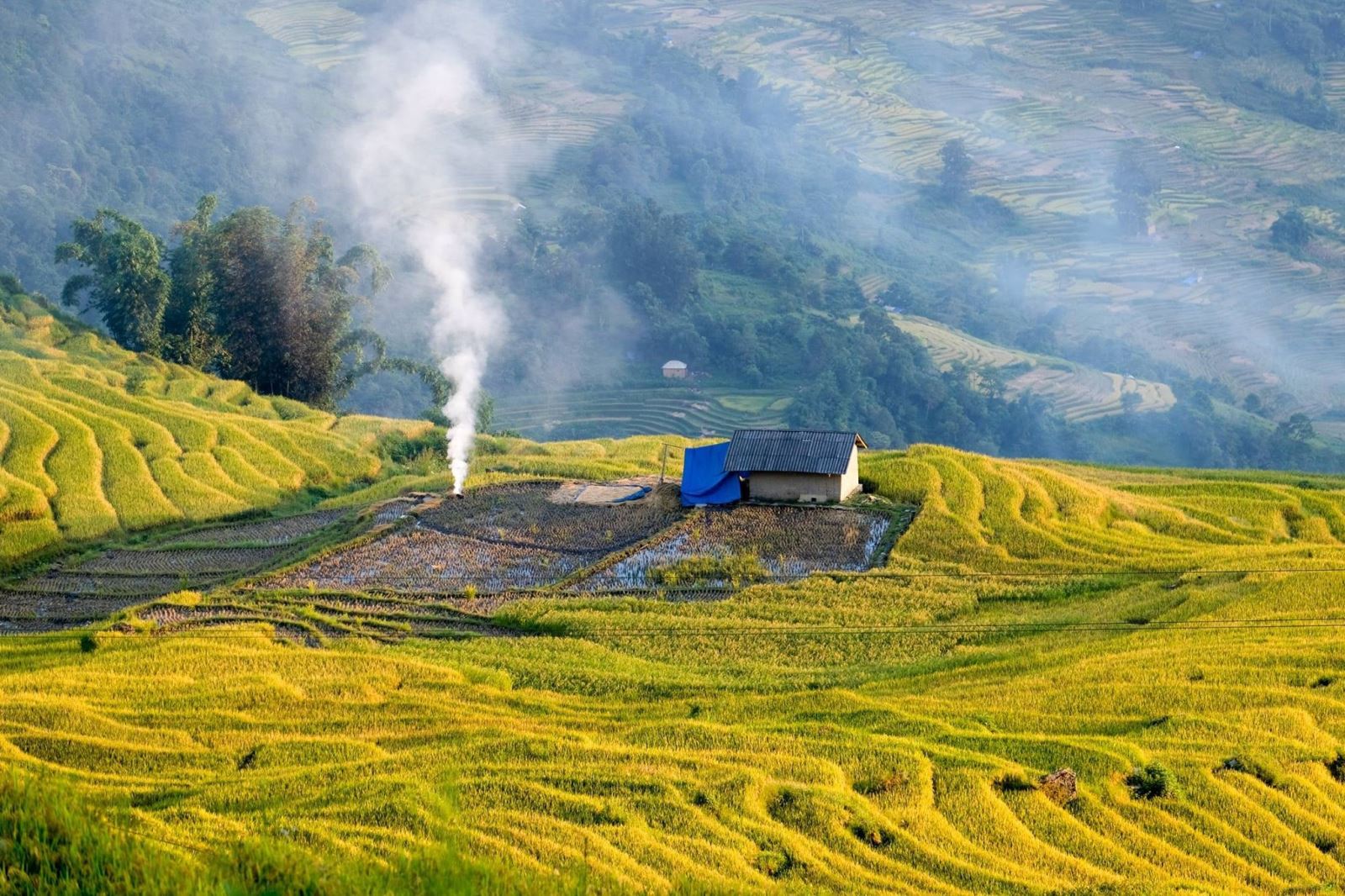 Lào Cai: Từ vùng đất mù sương đến trung tâm du lịch trải nghiệm Tây Bắc