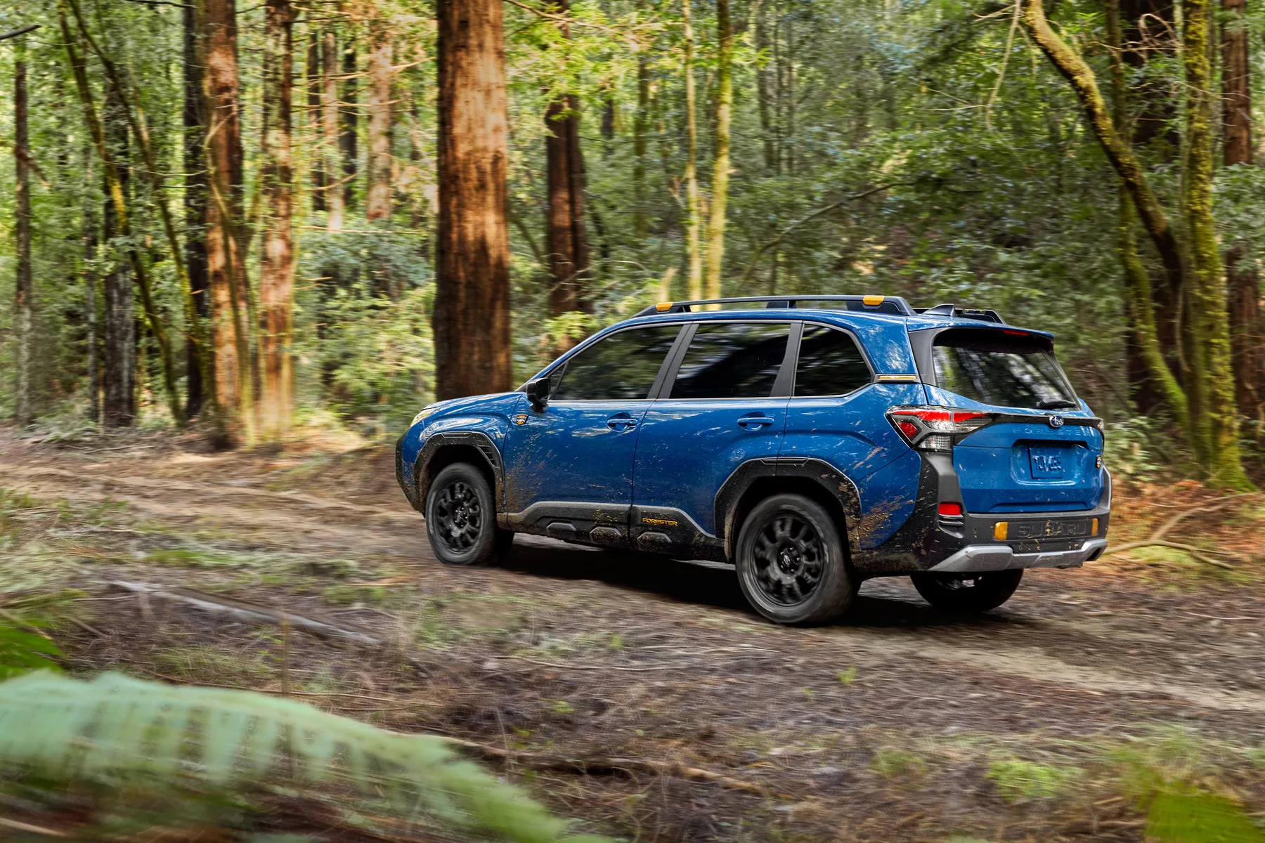 Subaru Forester cập nhật giá và bản Wilderness: Lợi thế nào trong phân khúc SUV cỡ nhỏ?