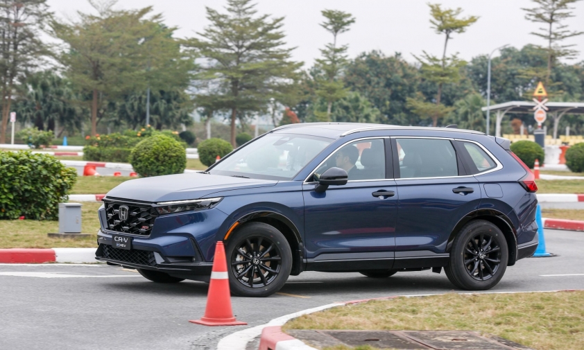 Xe hybrid bán chạy hơn bản xăng: Người Việt đang đổi hệ tư duy mua ô tô