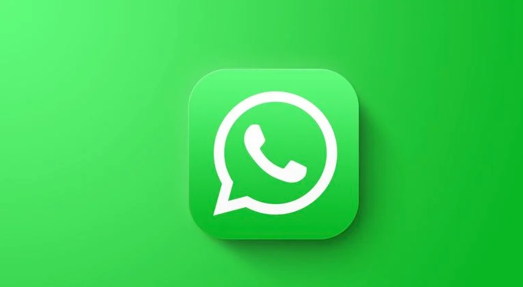 WhatsApp ra mắt nút tìm kiếm ngay trong cuộc trò chuyện