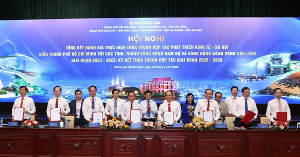TP.HCM dẫn dắt hợp tác liên vùng: từ đường sá đến chuỗi giá trị