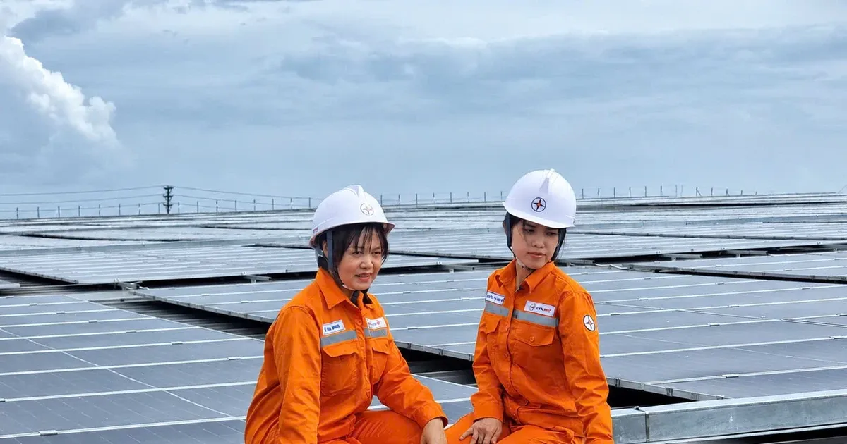 Chính phủ thúc đẩy điện mặt trời mái nhà: Chiến lược mở rộng năng lượng sạch tại chỗ
