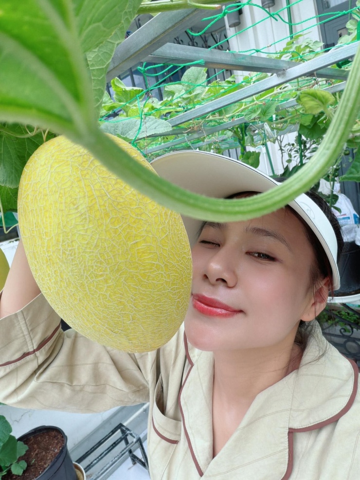 Trồng dưa lưới, bí đỏ trên ban công: vườn nhỏ nhưng thu lớn