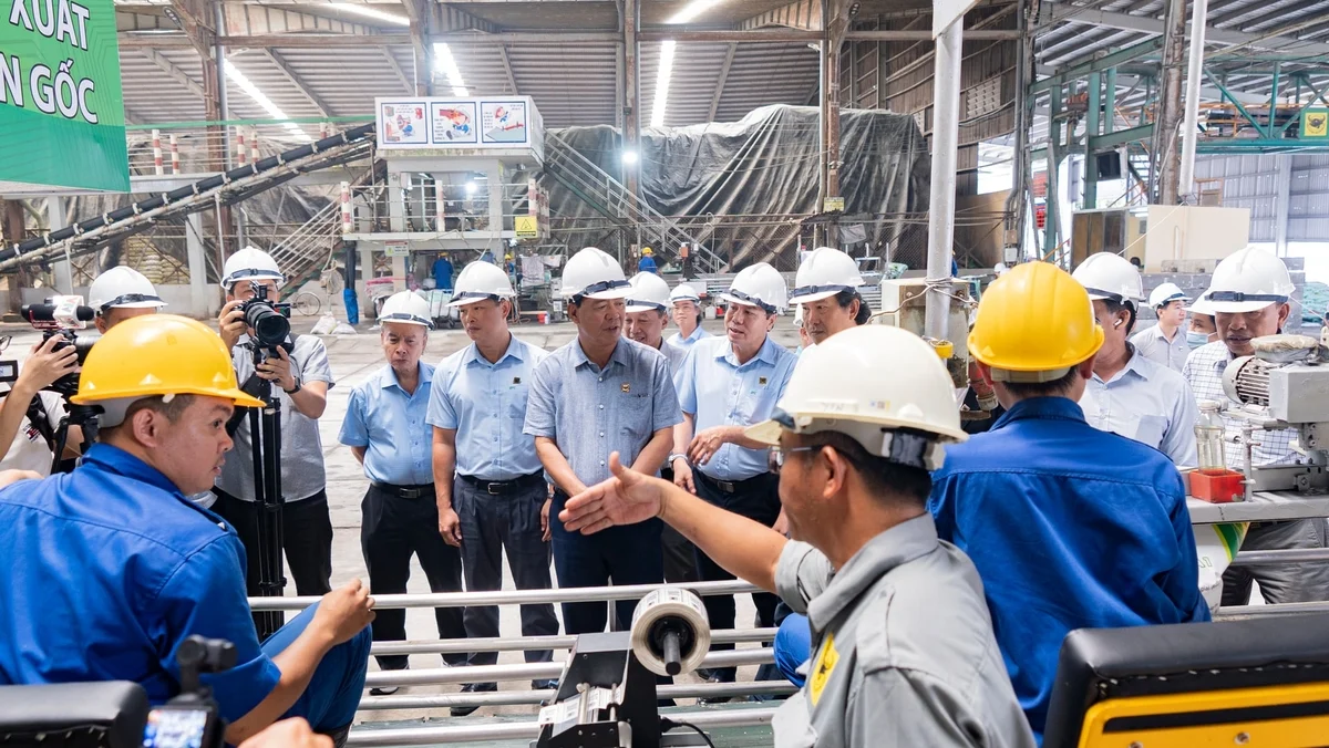 Cách dùng ứng dụng truy xuất nguồn gốc nông sản mới