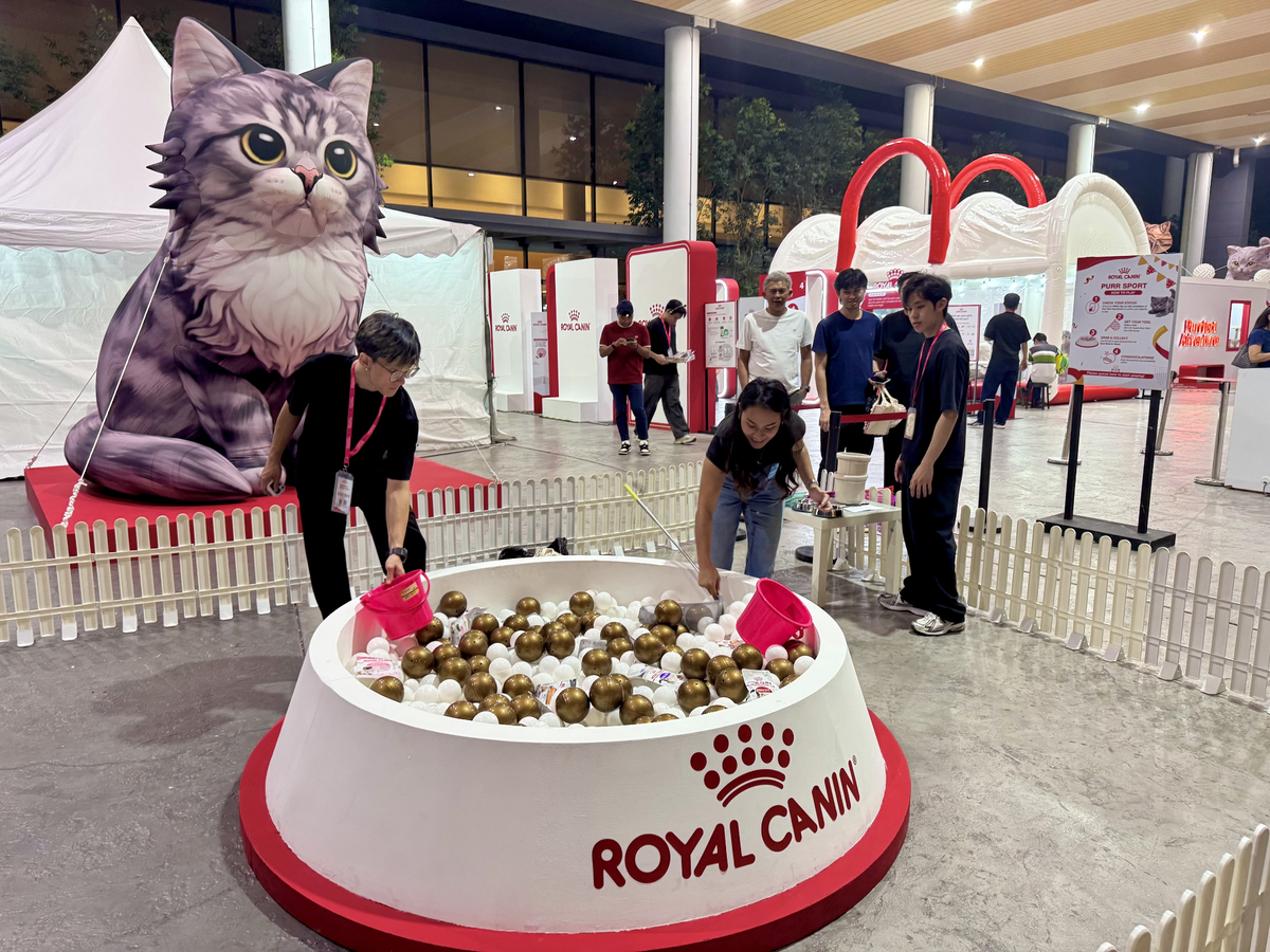 Score Big pada Jualan Aksesori Haiwan: Great Pet Haul Accessories Extravaganza