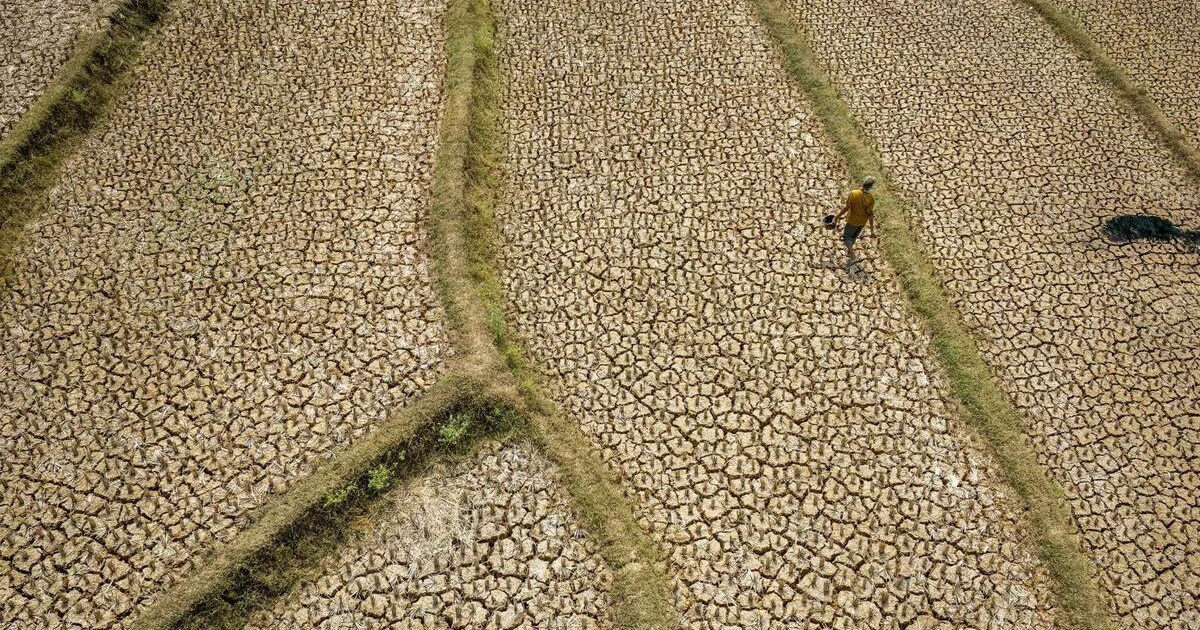 Siêu El Niño rất mạnh: Đông Nam Á ứng phó ra sao?