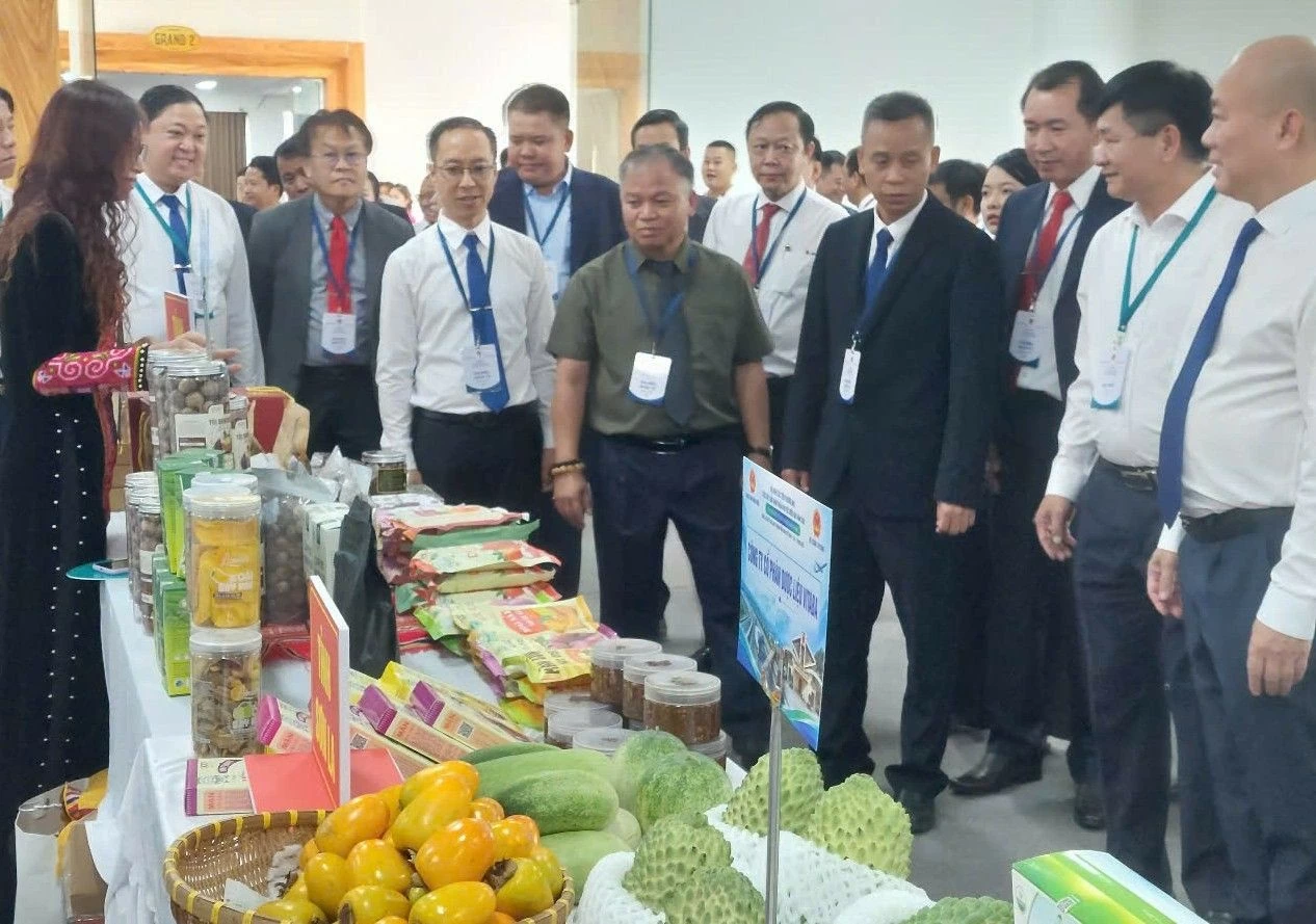 Chuyển đổi số và thương mại xanh trên trục Việt–Lào–Trung