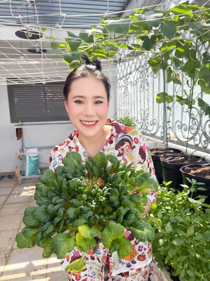Trồng dưa lưới, bí đỏ trên ban công: vườn nhỏ nhưng thu lớn