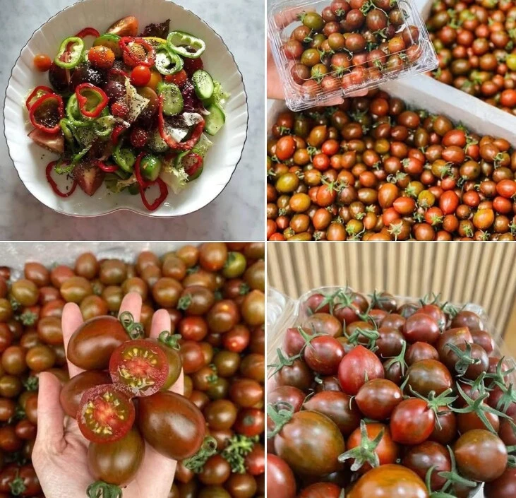 Cách chọn quả hồng, chanh leo và cà chua socola tốt cho sức khỏe