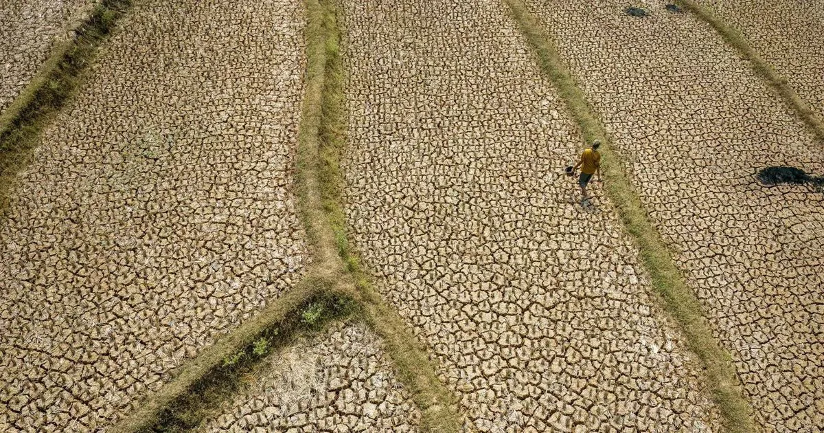 Siêu El Niño rất mạnh: Đông Nam Á ứng phó ra sao?