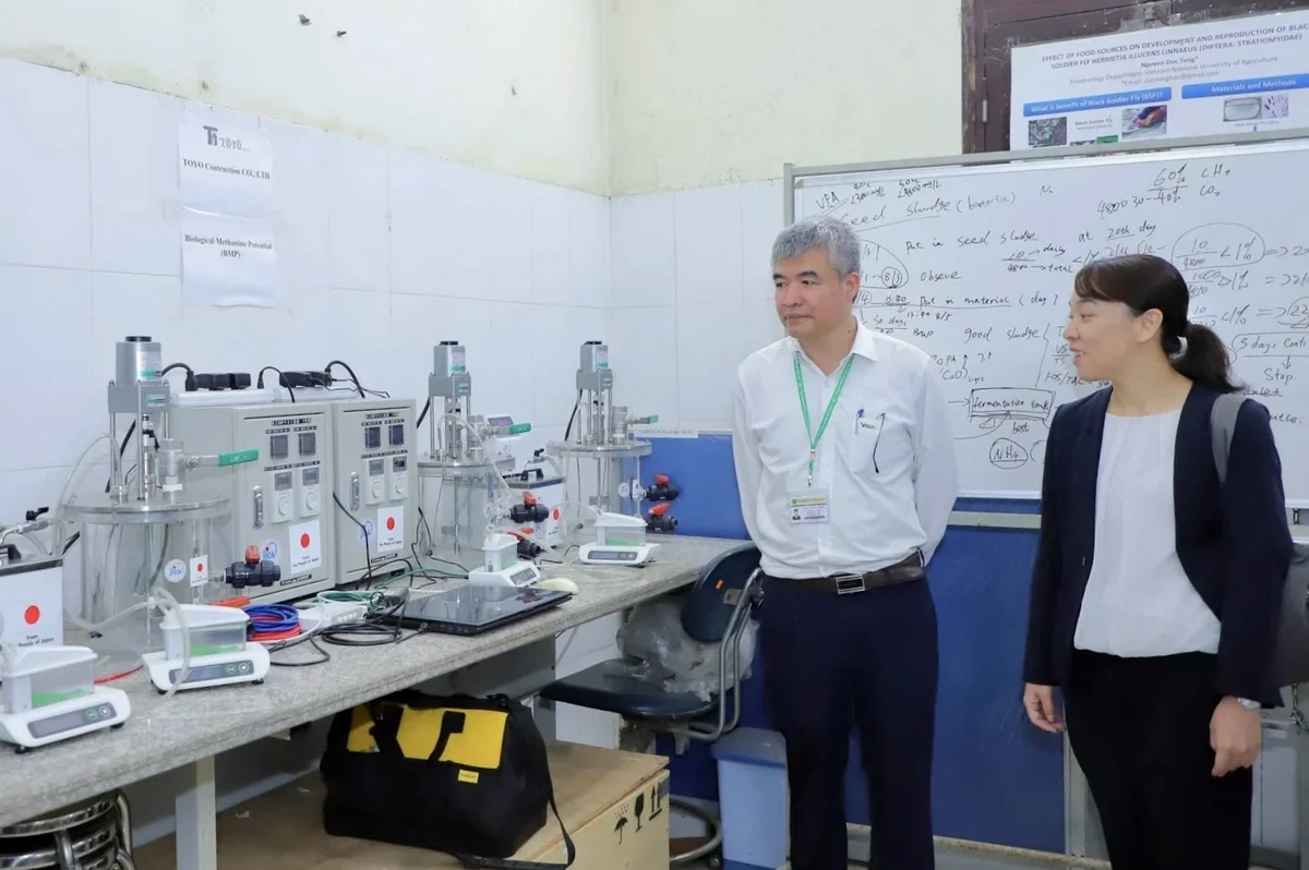 Từ rác thực phẩm tới điện năng: Cơ hội mới cho chất thải hữu cơ Việt Nam
