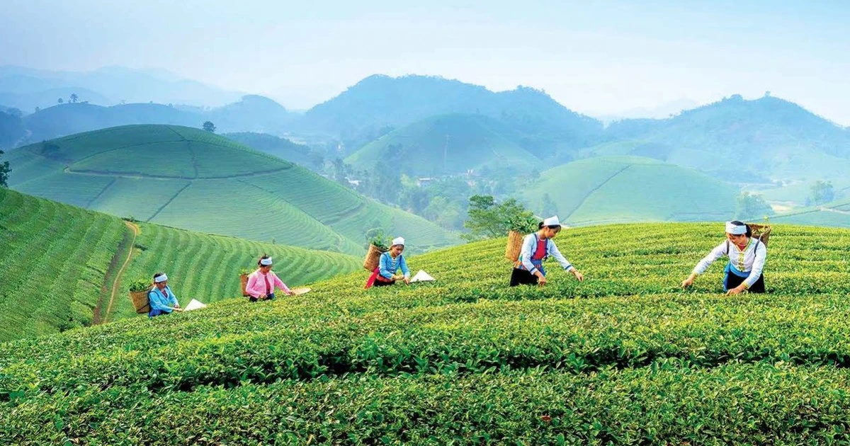 Tàu du lịch Hà Nội–Thái Nguyên: Cú hích định vị điểm đến xanh từ trà và di sản