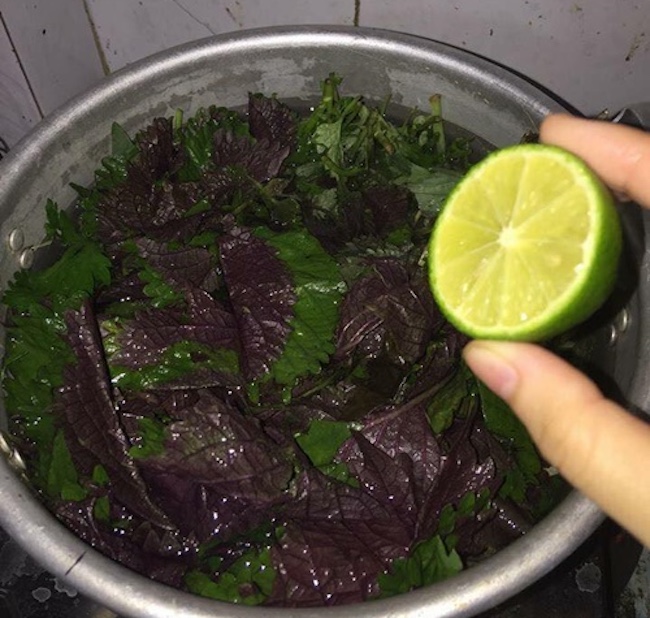 Nước lá tía tô vắt chanh mùa thu: uống sao cho an toàn