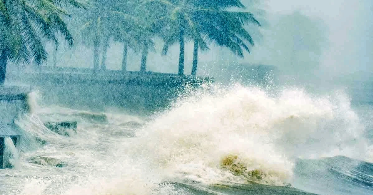 El Niño rất mạnh đe dọa sản xuất tôm và nông nghiệp Đông Nam Á