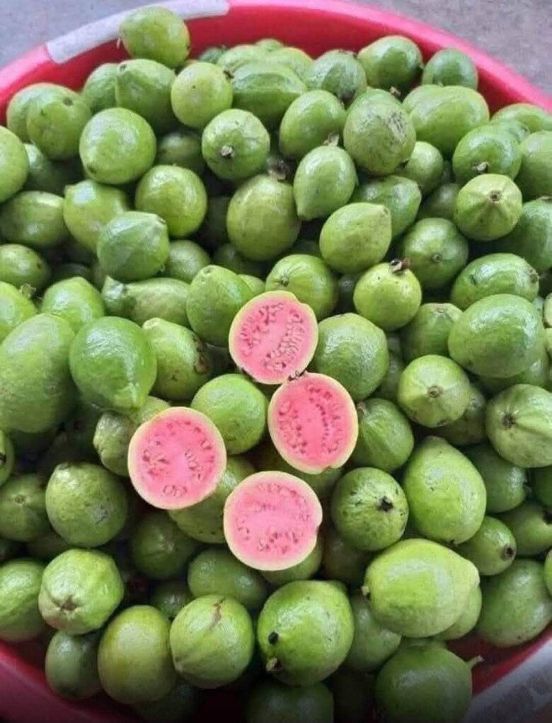 Cách chọn quả trám, ổi đào, táo đường ngon và giàu dinh dưỡng