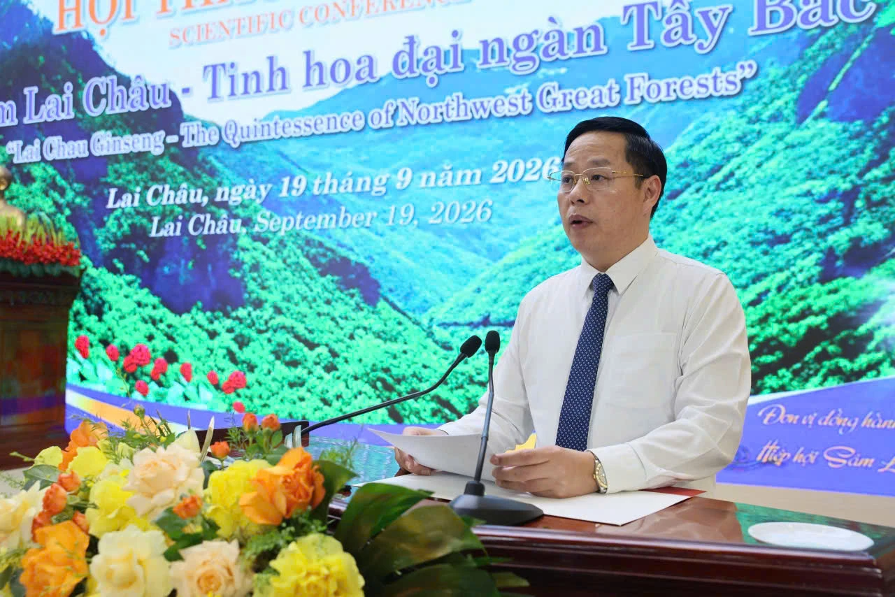 Từ dược liệu truyền thống đến sản phẩm khoa học: Hành trình nâng tầm giá trị sâm Lai Châu