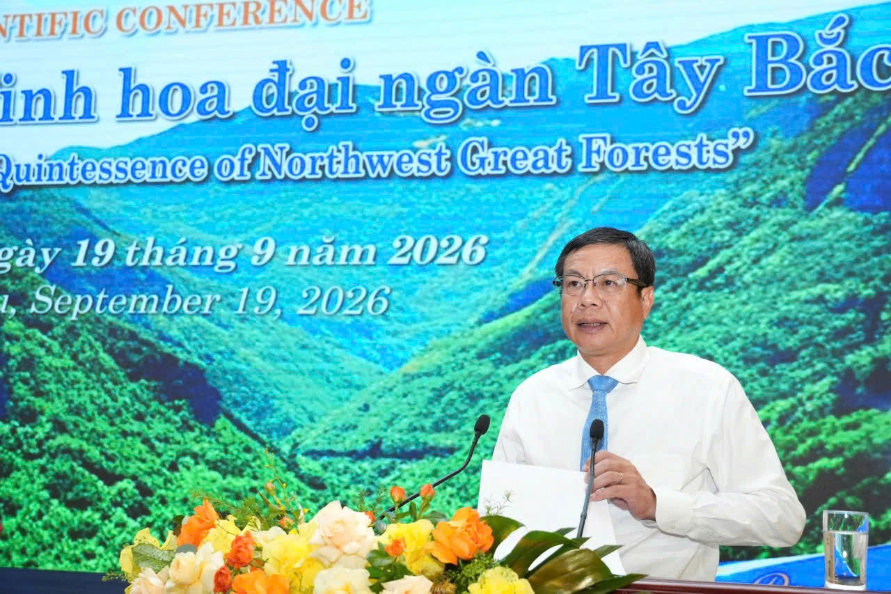 Từ dược liệu núi rừng đến sản phẩm khoa học: Cách công nghệ nâng tầm giá trị Sâm Lai Châu