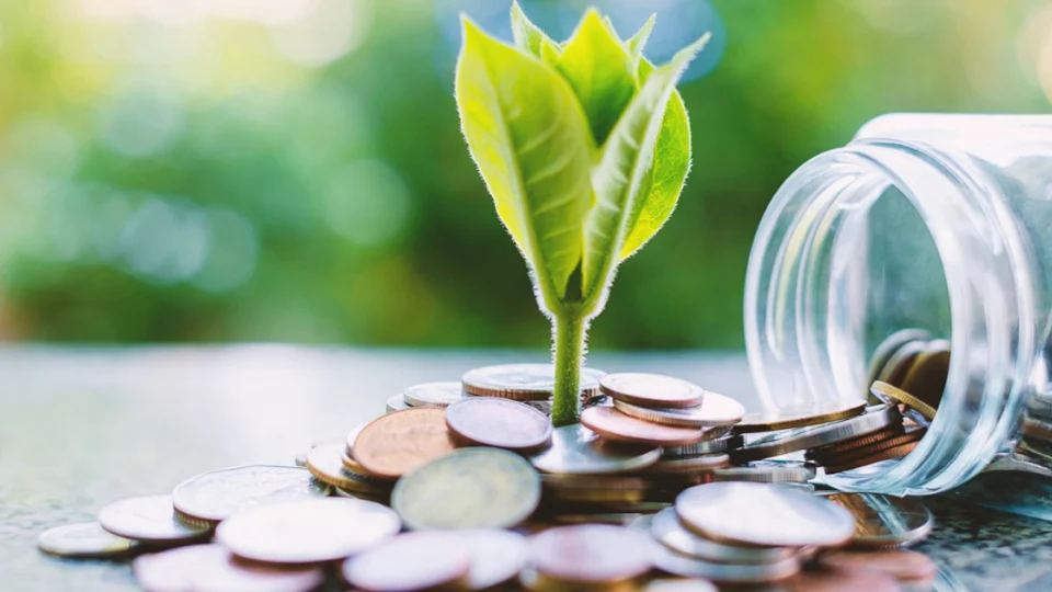 Dữ liệu ESG chất lượng thấp đang chặn dòng vốn xanh quốc tế