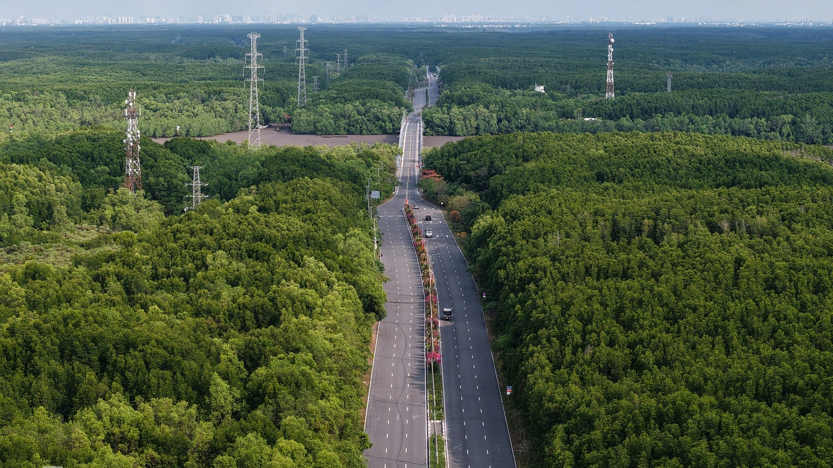 Metro Bến Thành - Cần Giờ và bài toán chuyển đổi 4,57 ha rừng phòng hộ