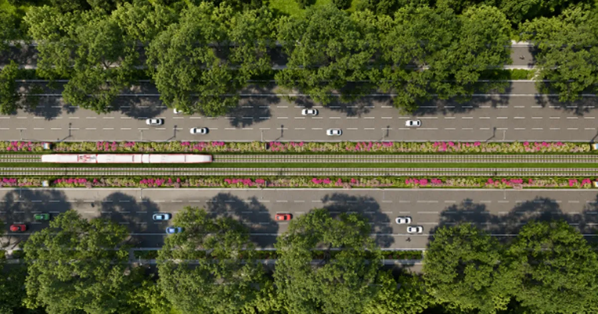 Đại lộ 10 làn ĐT975 và LRT: bước ngoặt hạ tầng đa phương thức của Phú Quốc