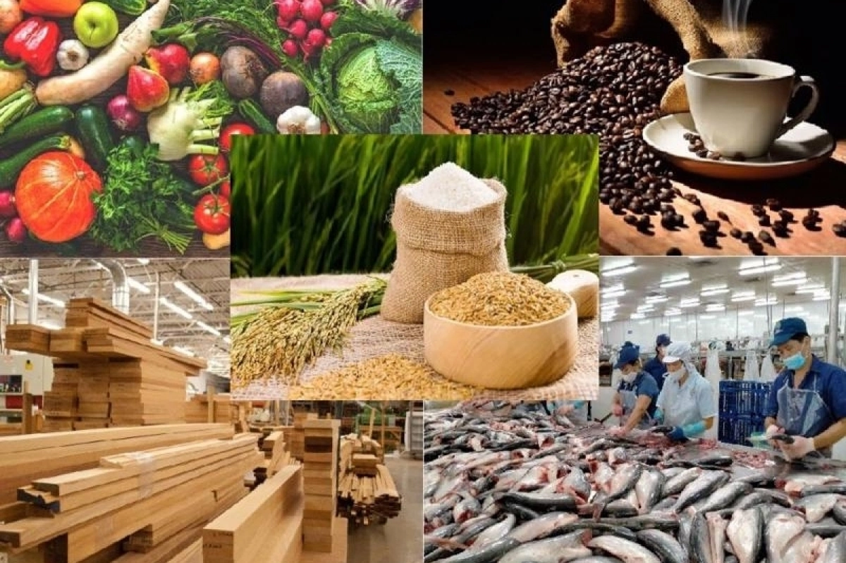 Xuất khẩu nông, lâm, thủy sản tăng tốc trước hàng rào an toàn