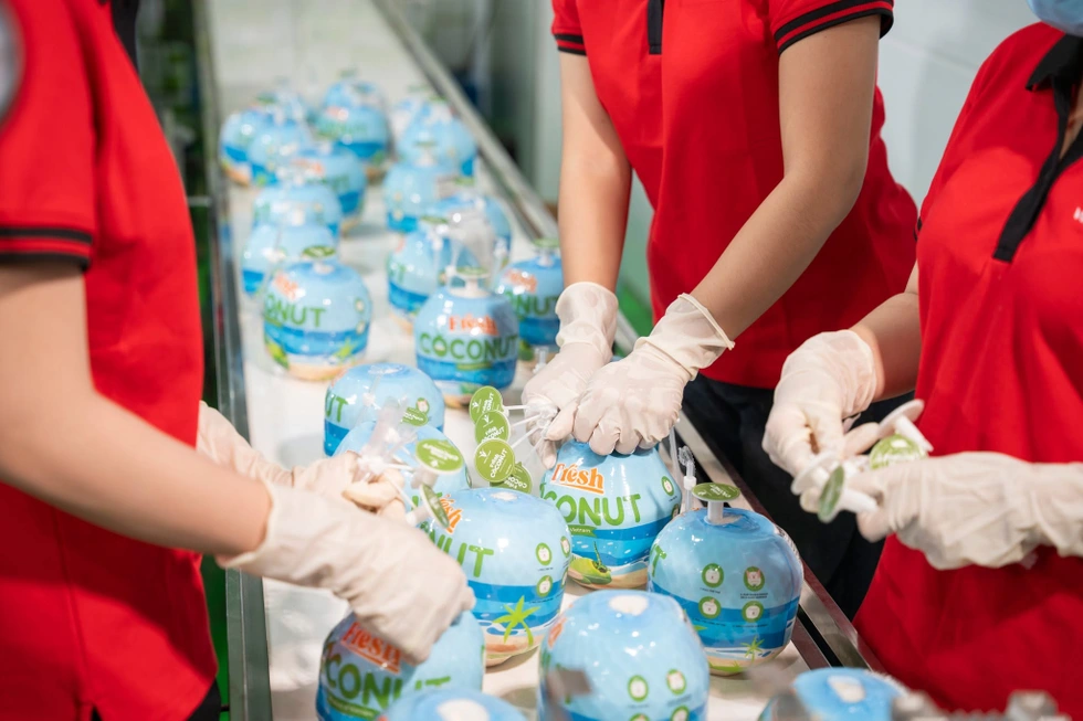 Dừa Việt Nam vượt xoài, thanh long để dẫn đầu xuất khẩu sang Mỹ