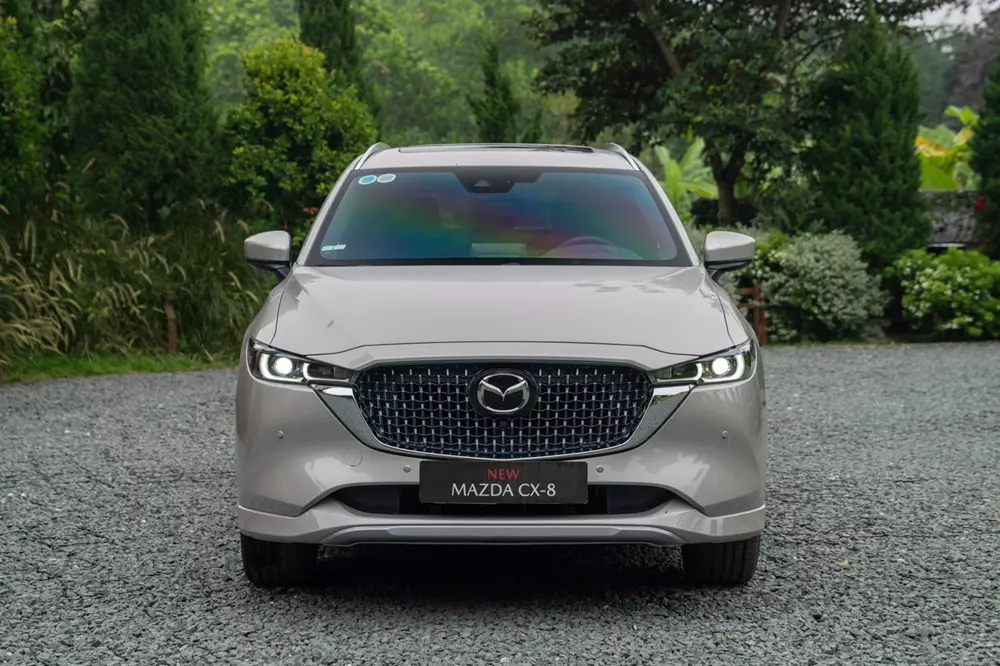 SUV hạng D tháng 8: VinFast VF 8 lật ngôi Ford Everest
