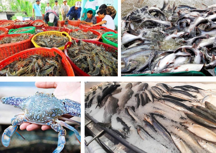 Thủy sản Việt Nam trước sức ép thị trường Mỹ trong quý IV