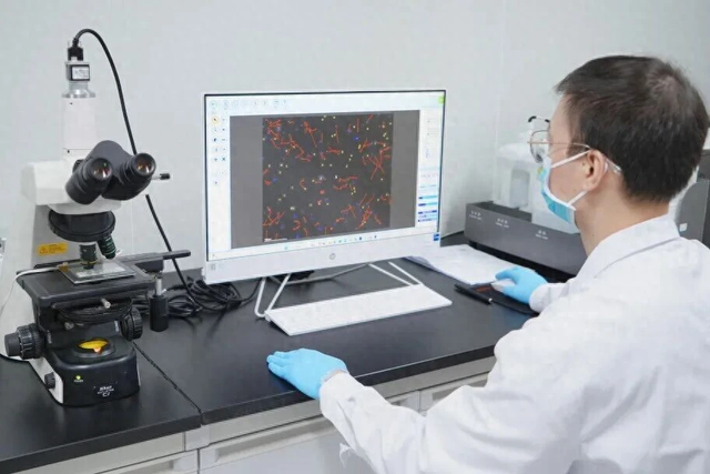 Phân mảnh DNA tinh trùng: thủ phạm giấu mặt của sảy thai tái diễn