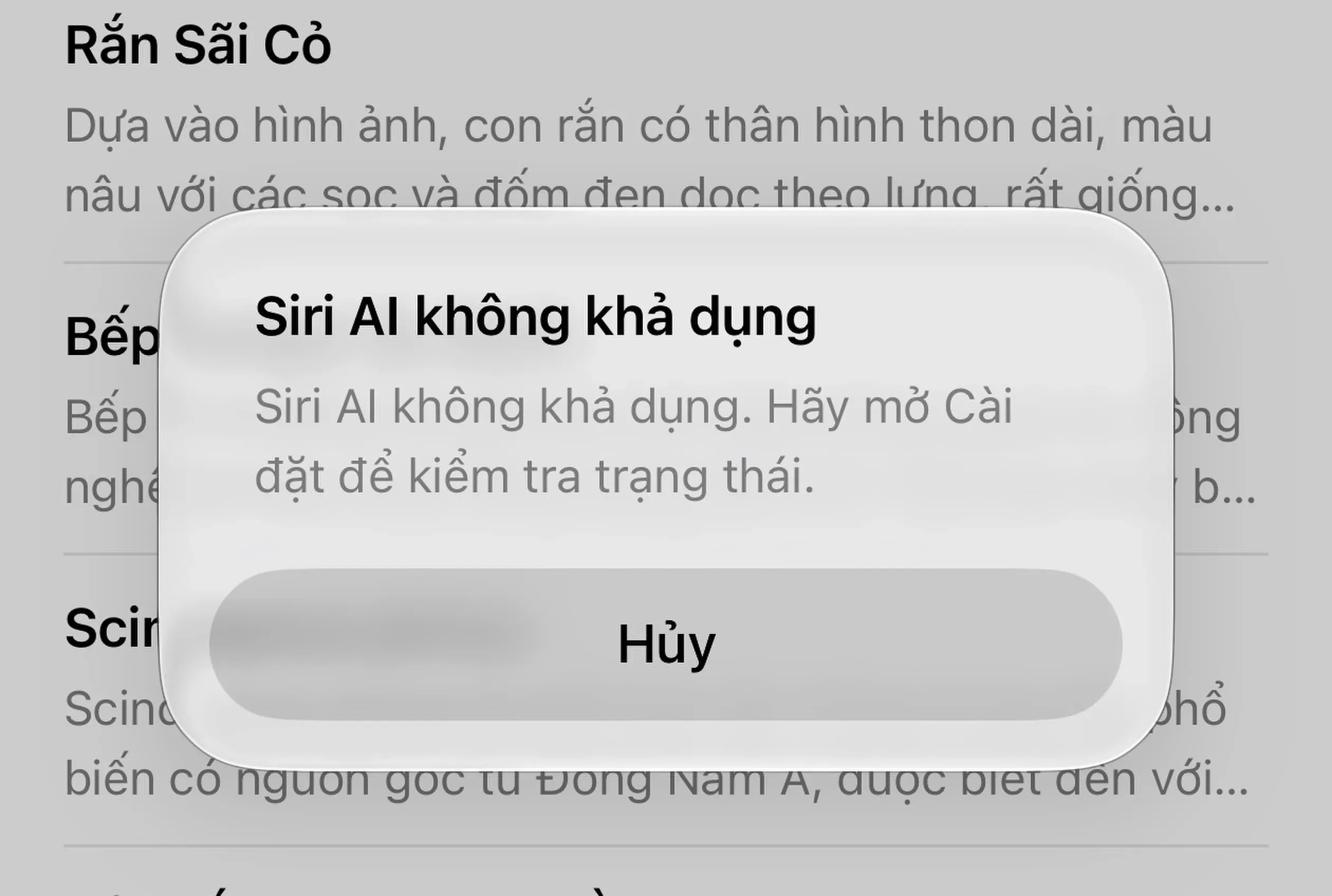 Siri AI trên iOS 27 gây khó chịu: 6 lỗi phổ biến và cách khắc phục