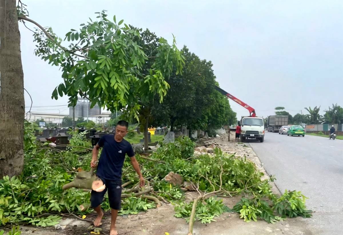 Giải phóng mặt bằng tăng tốc ở Ninh Bình và Phú Thọ