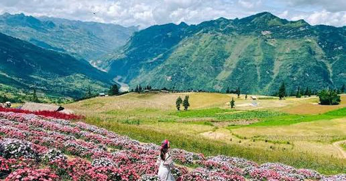 Du khách săn trải nghiệm văn hóa bản địa và sinh kế bền vững